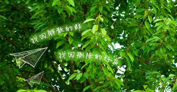QQ好友找回工具下载