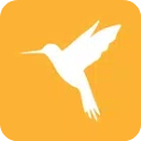 Reqable专业版 v2.13.0