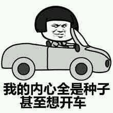 马保国表情包