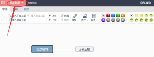 飞项