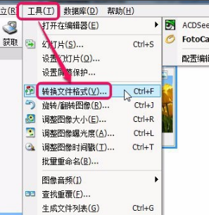 书法田字格Word模板打印版