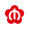 与宁同行