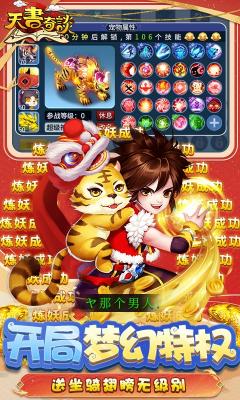天书奇谈gm万充版