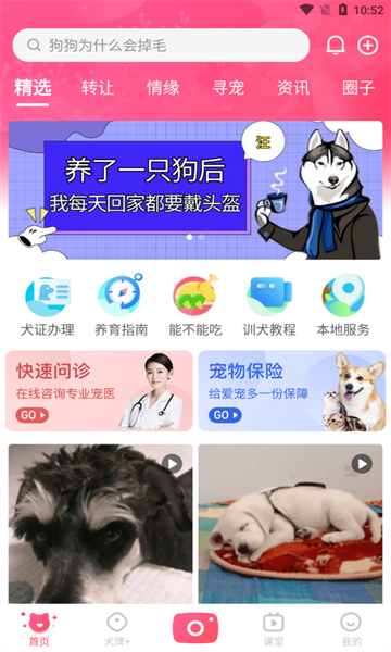 68宠物网上办狗证