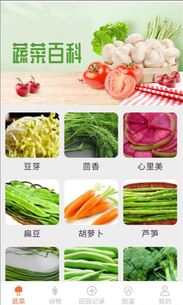 口袋田园蔬菜百科